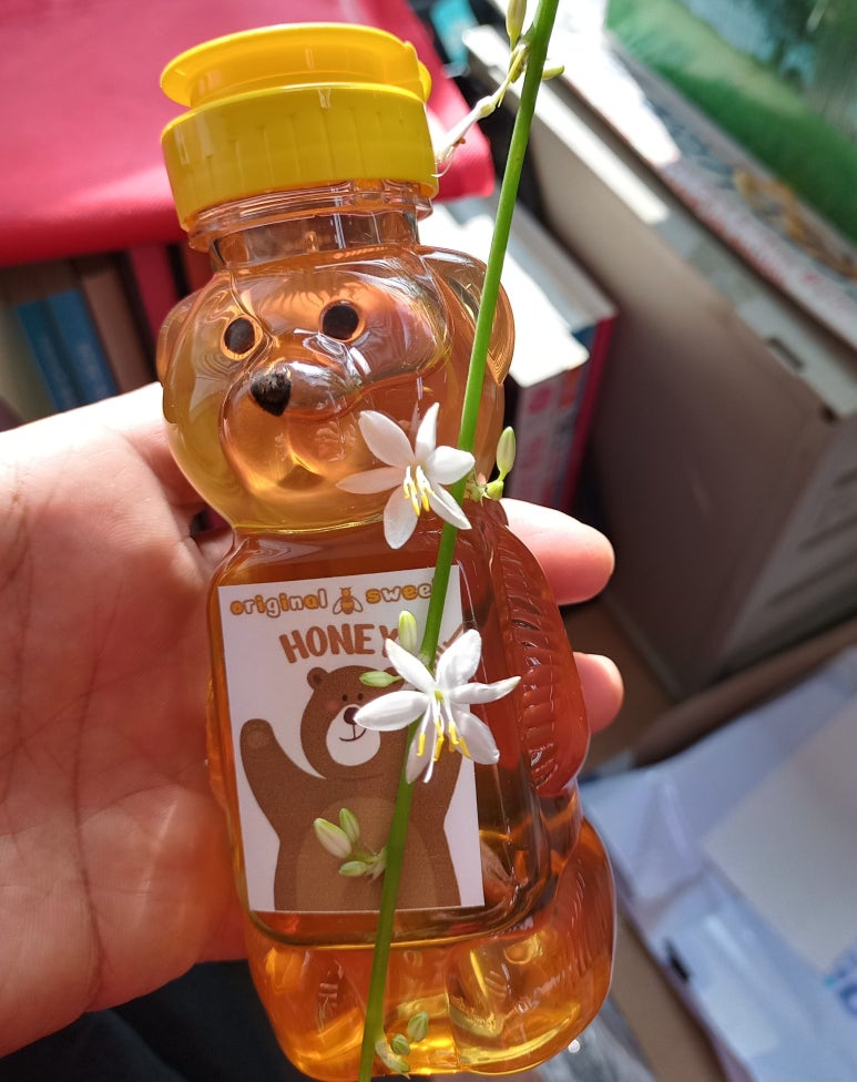 모아더 이미지