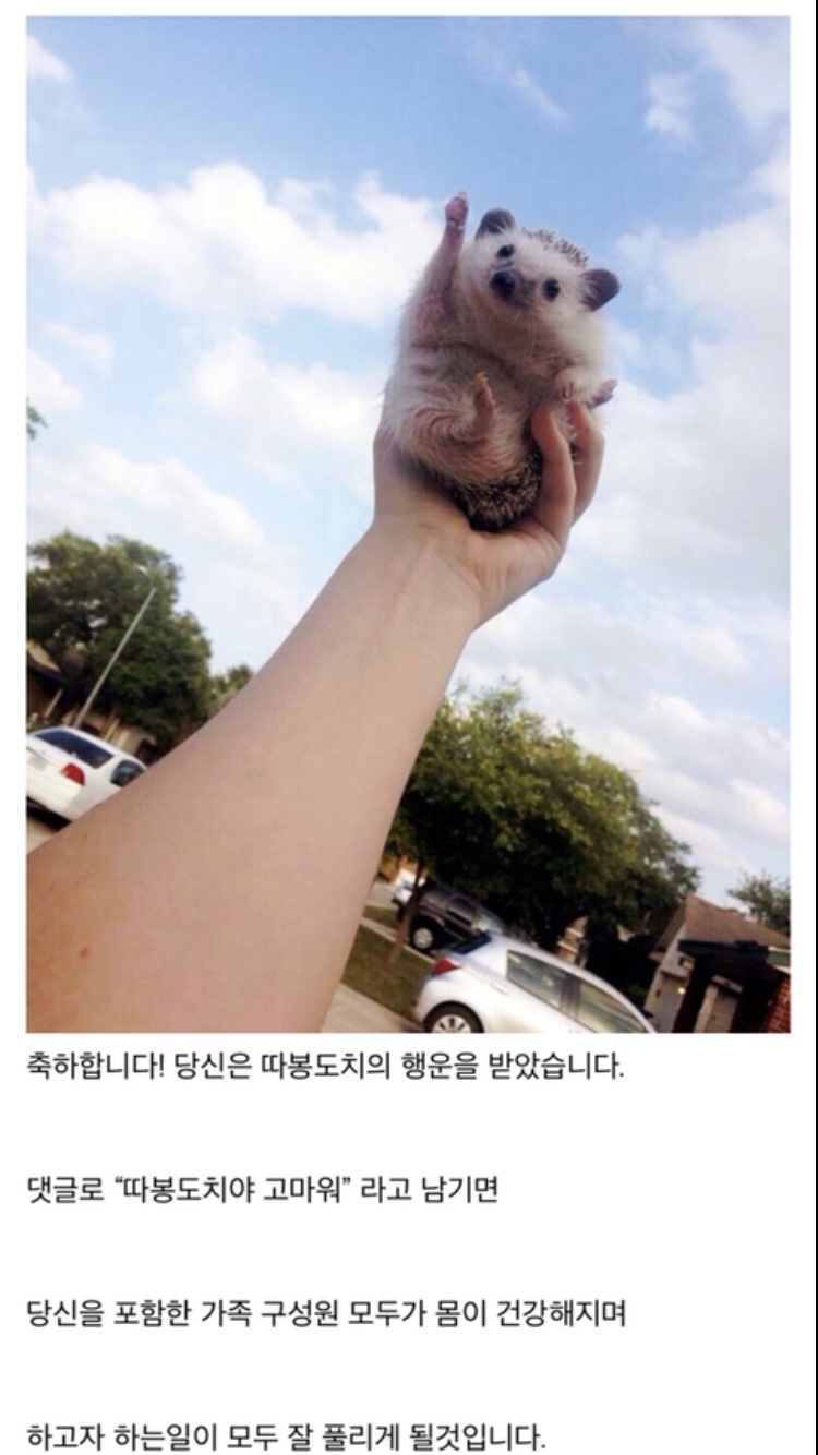 따봉 이미지