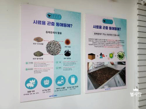 그린브릿지 이미지