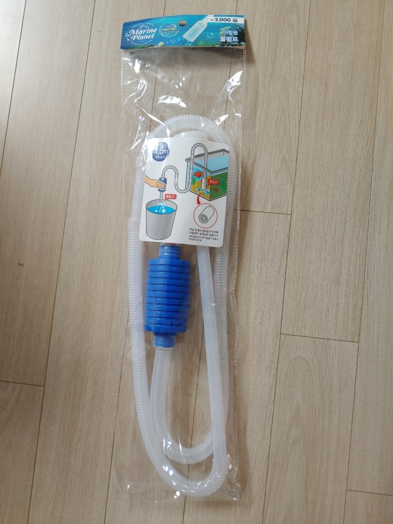 청춘어항 이미지