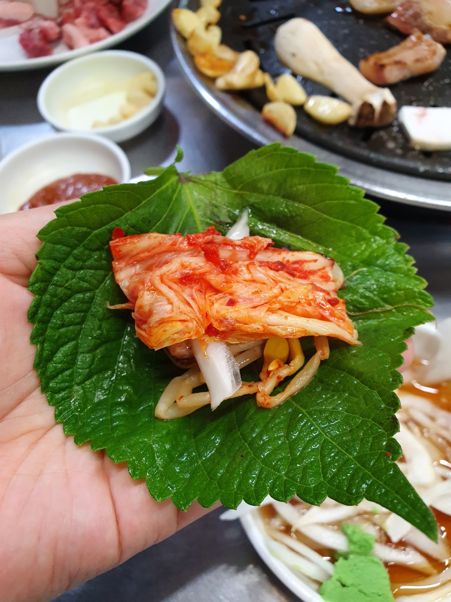 외동채소 이미지
