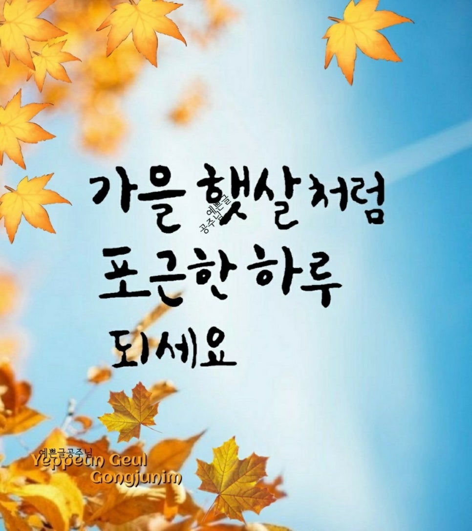 리얼안심탕수육&리얼하노이 이미지
