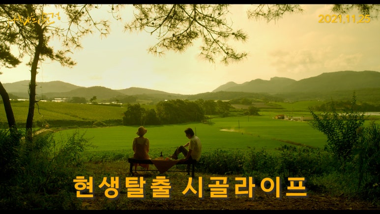시네마 넝쿨 이미지