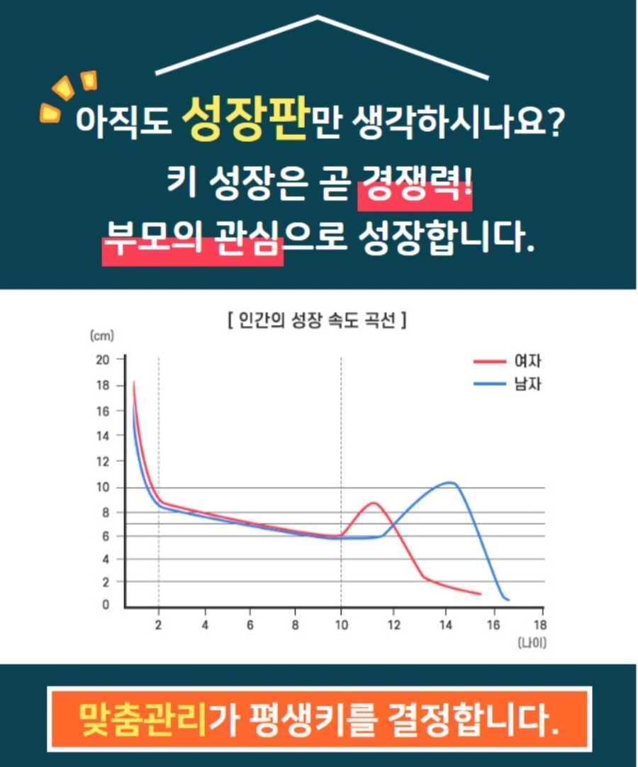 키네스 이미지