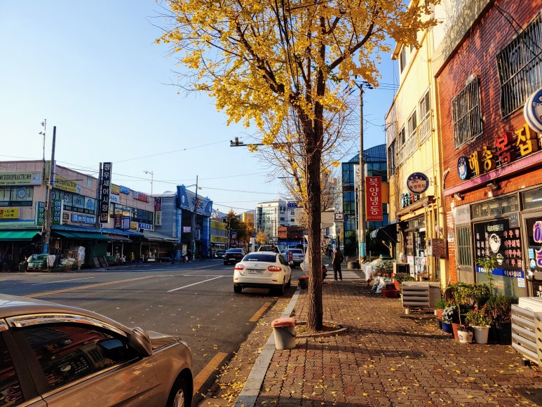 해송복국복요리 이미지