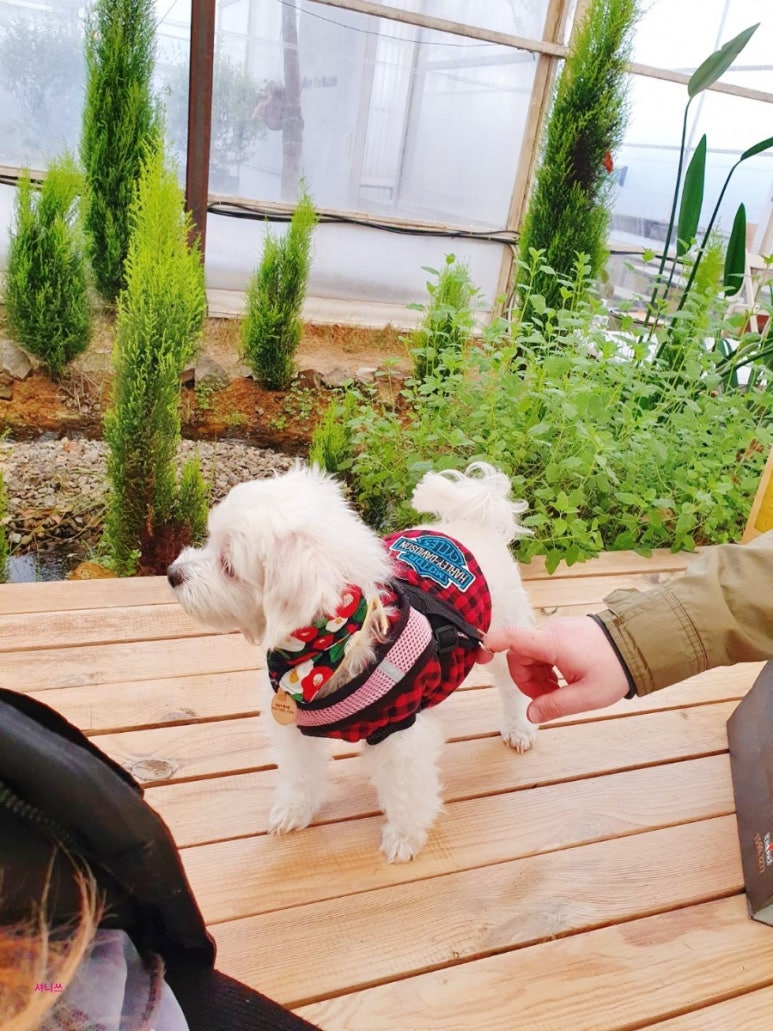 다미공방 이미지
