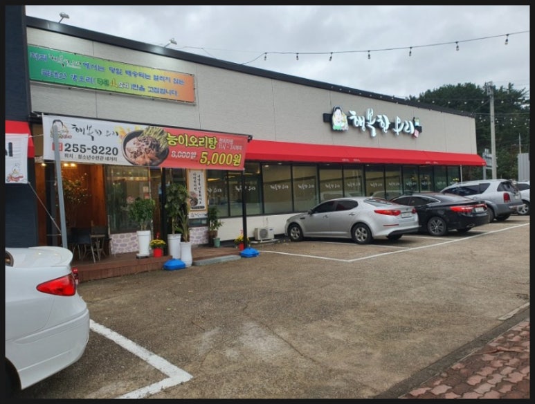 행복한오리 이미지