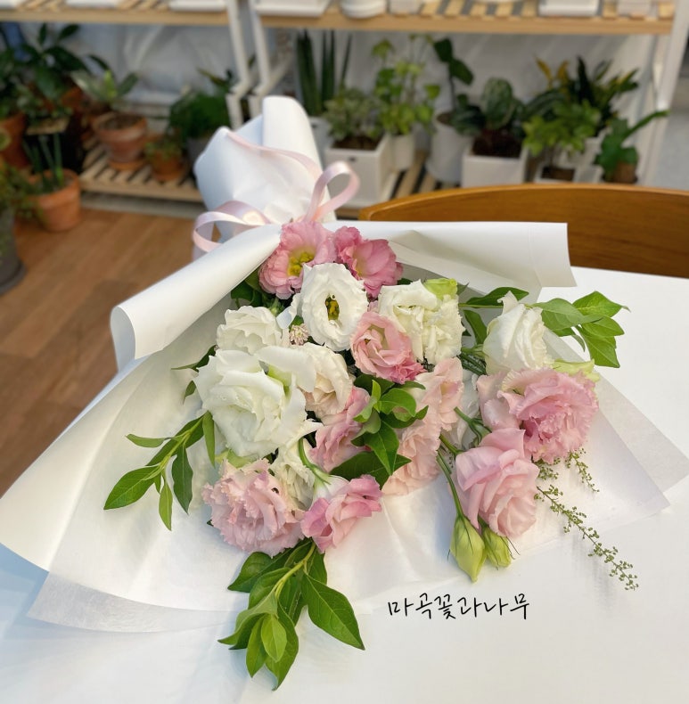 마곡꽃과나무 이미지
