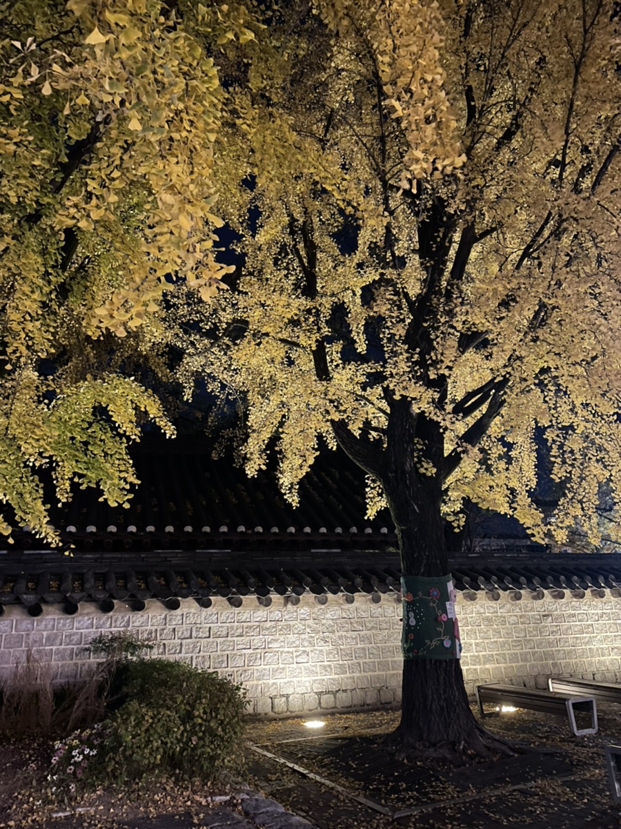 프렌즈카페방방 이미지