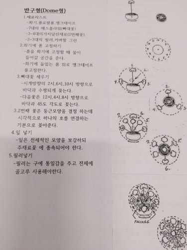 소랑꽃 이미지