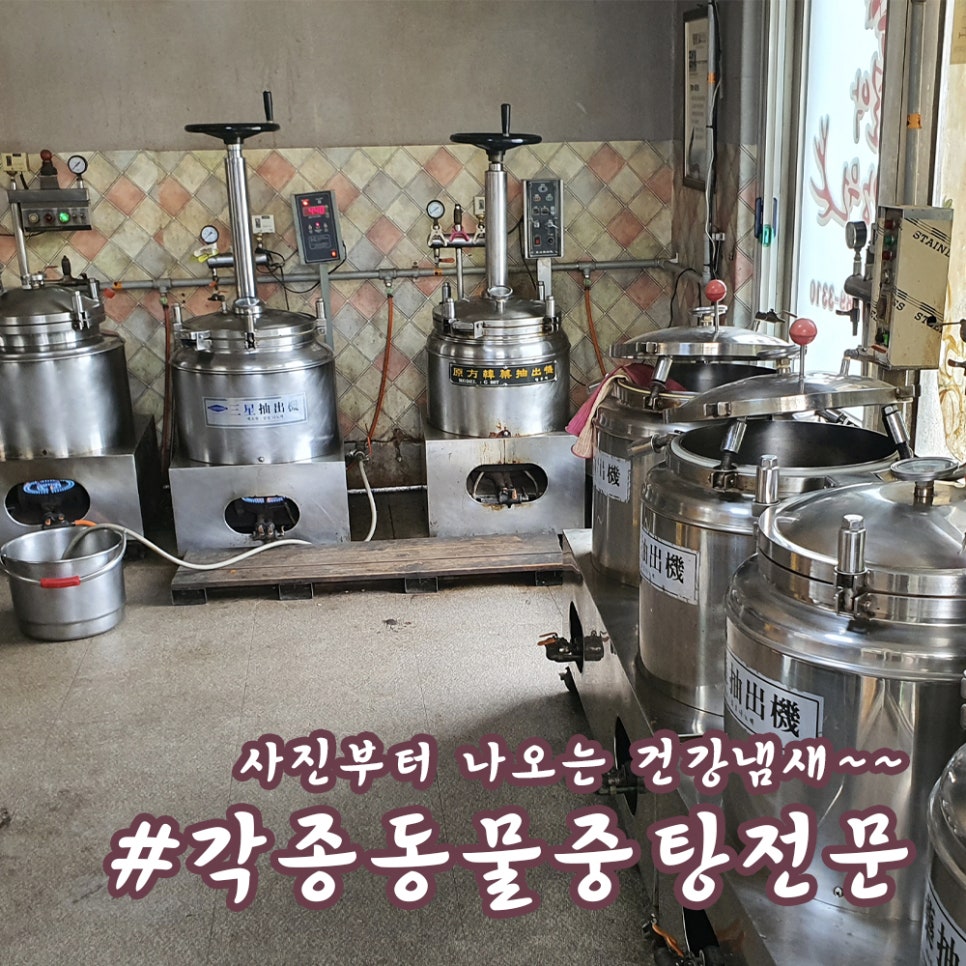 설악흑염소 이미지
