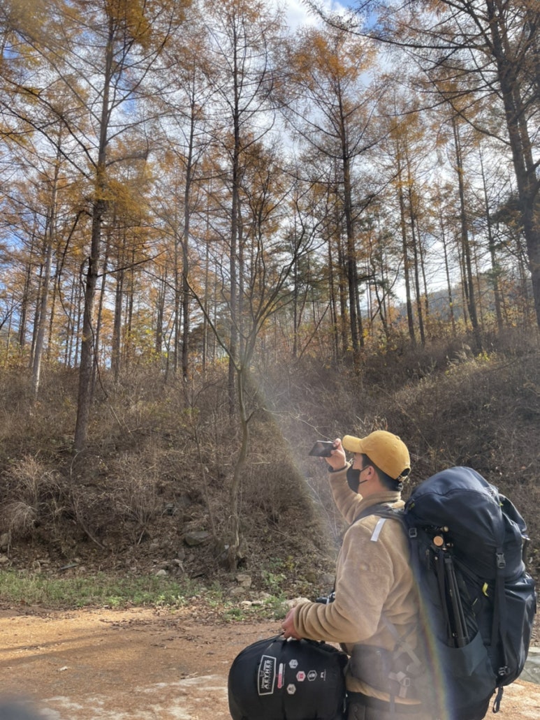 호명산잣나무숲속캠핑장 이미지