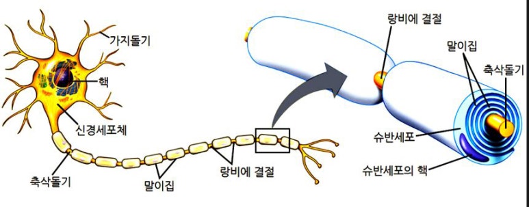 더뉴런 이미지