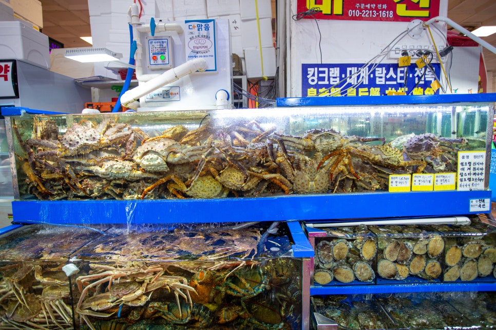 대신회식당 이미지