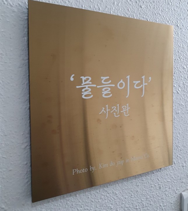 물들이다사진관 이미지