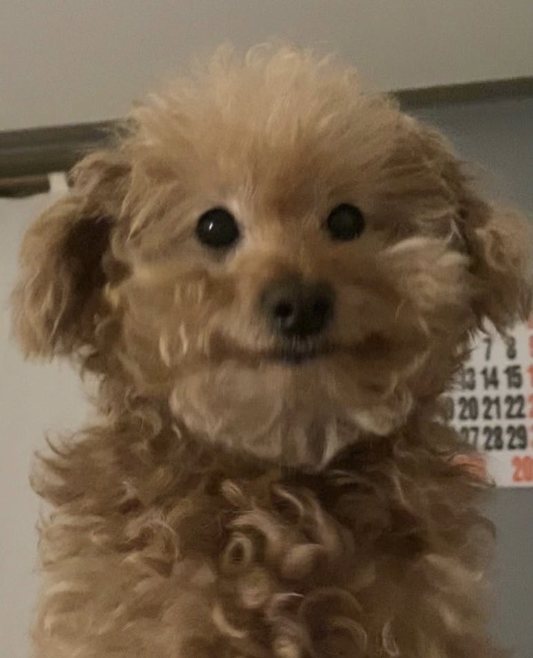 샐러드어클락 이미지