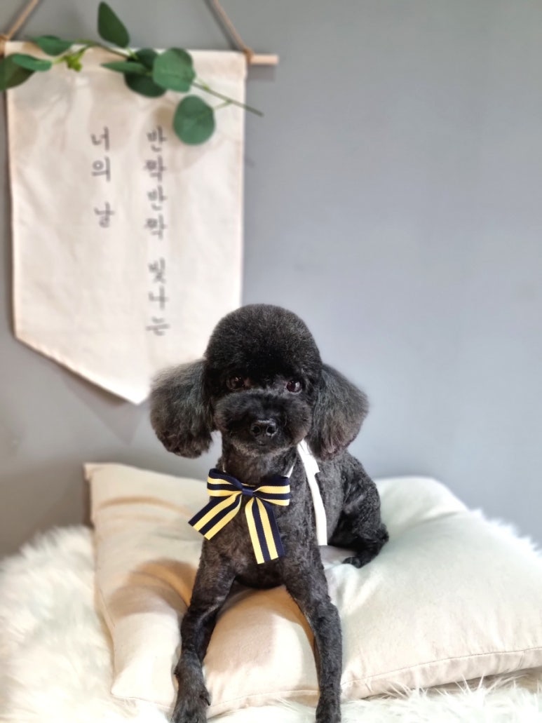 살롱3039 이미지