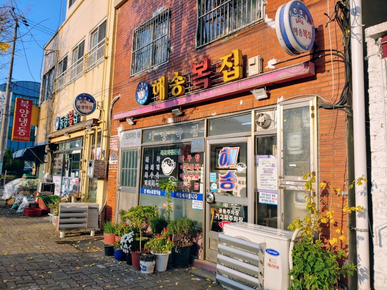해송복국복요리 이미지