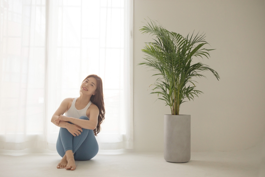정글스튜디오 이미지