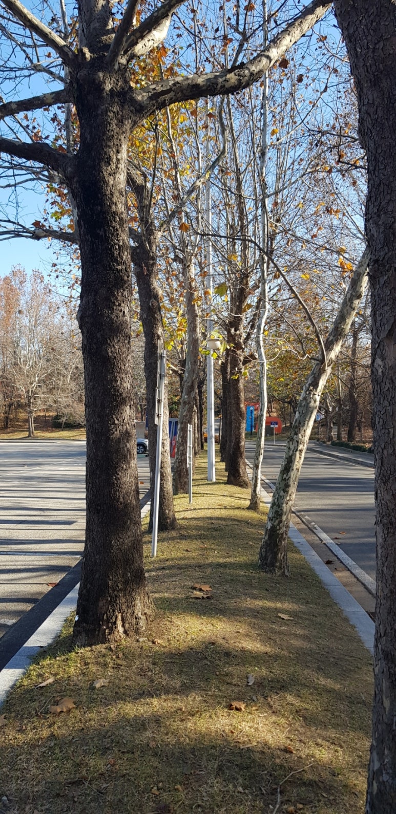 백제항공여행사 이미지