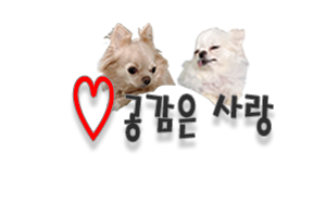제이에이치피 이미지