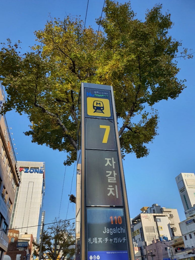 먹통레코드 이미지