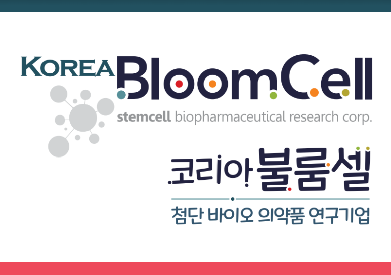 셀드림 이미지