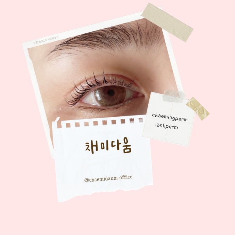 채미다움 이미지