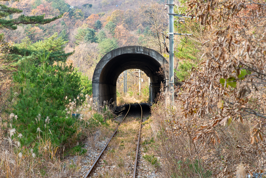 추추찹쌀도넛 이미지