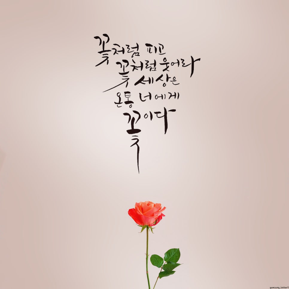너에게, 꽃이다 이미지
