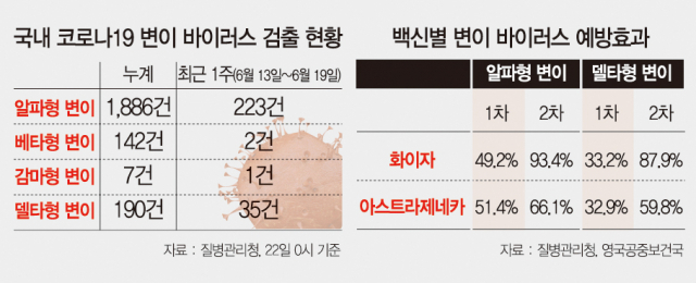델타데이타 이미지