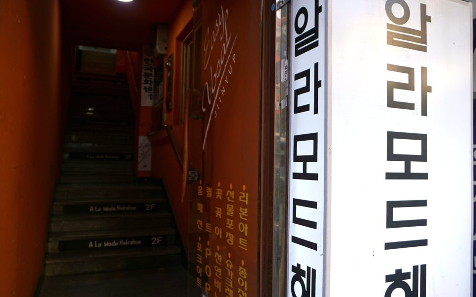 알라모드 이미지