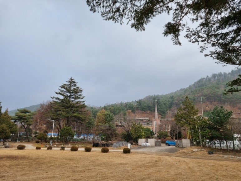 세움내움 이미지