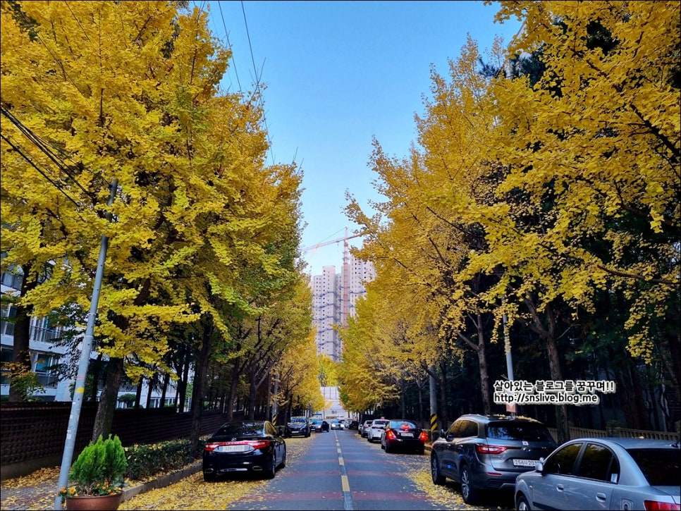 빅게임장 이미지