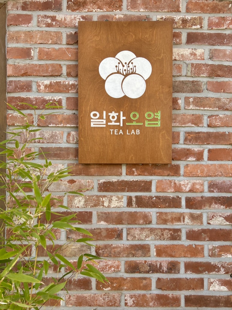 일화오엽 이미지
