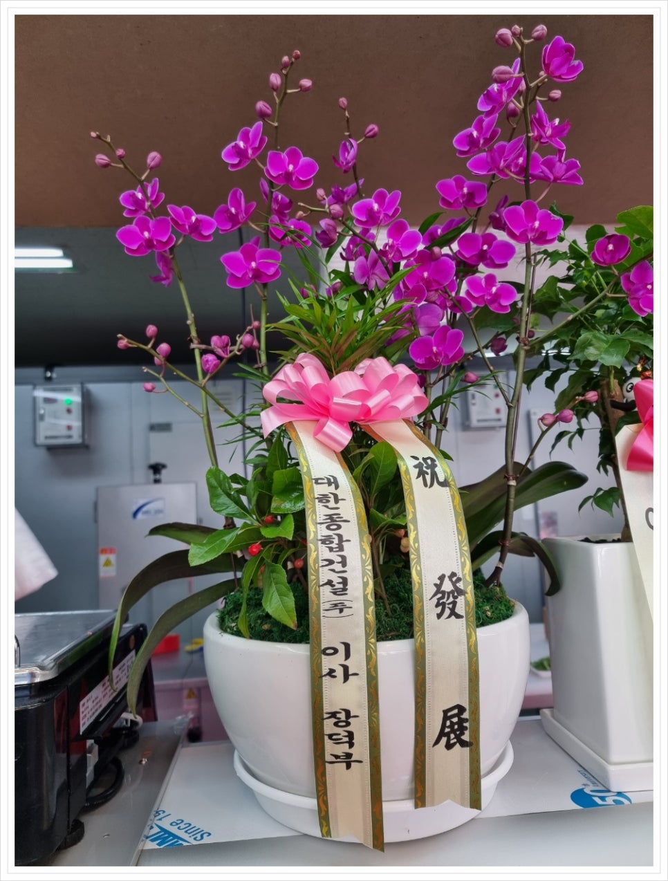 홍주축산 이미지