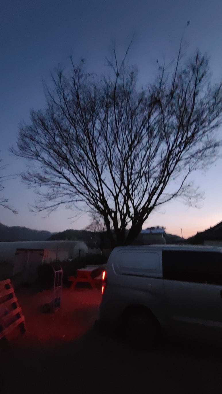 머슴참숯구이 이미지