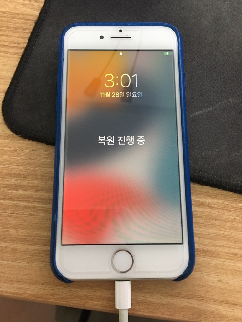 치앤차이 이미지