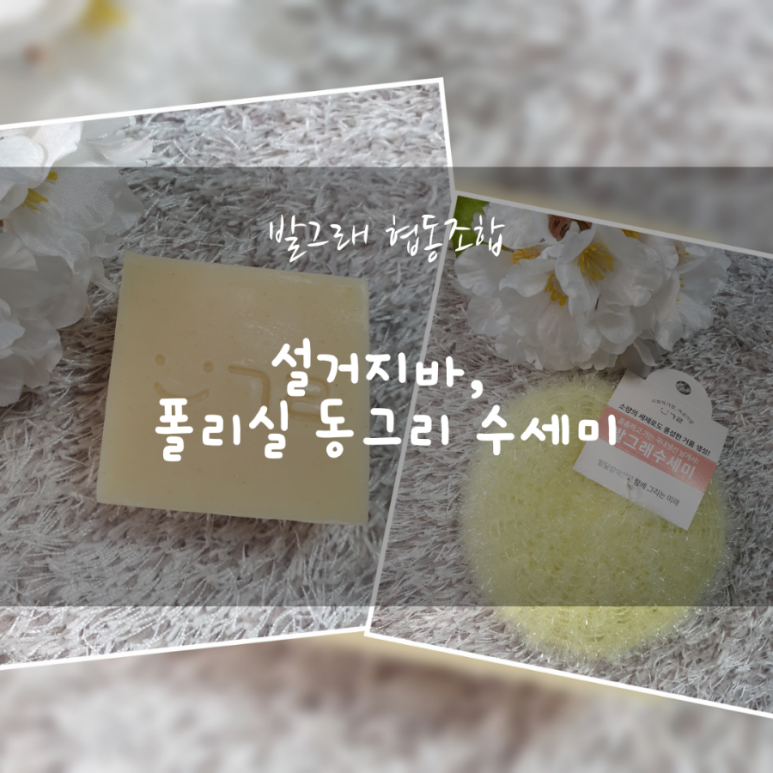 동그리협동조합 이미지