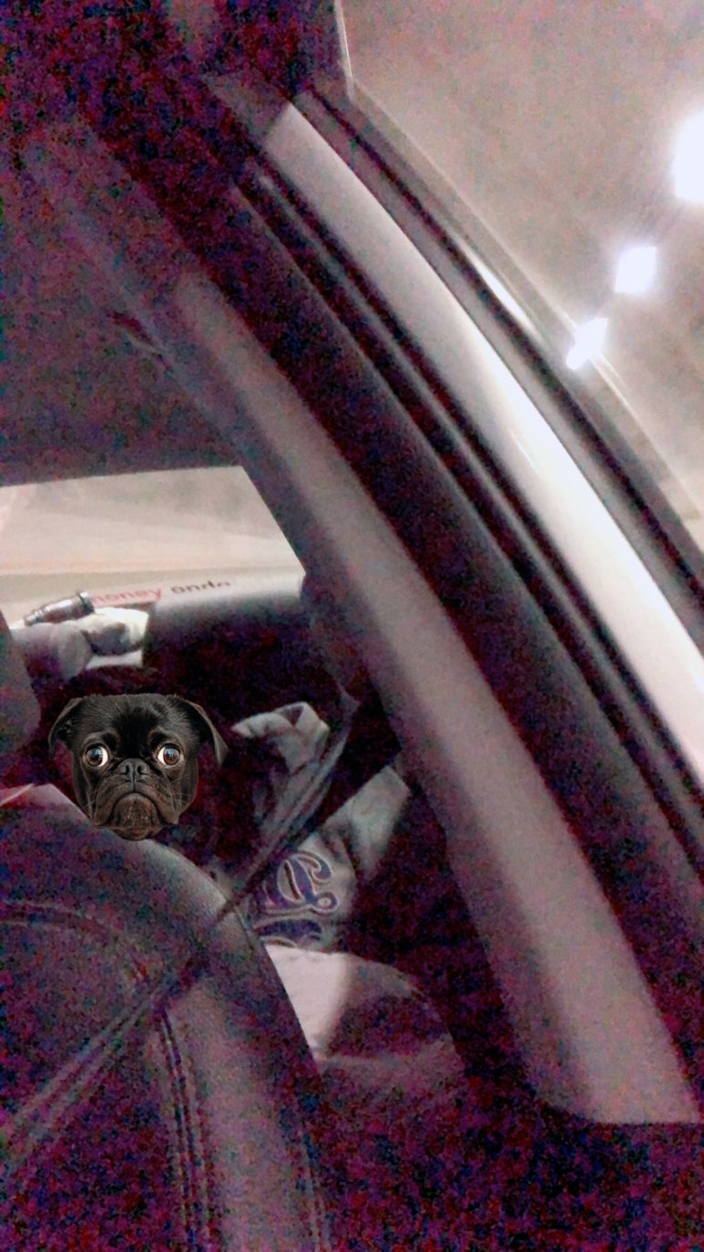 무궁화떡집 이미지