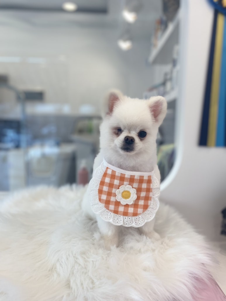 윙크미용실 이미지