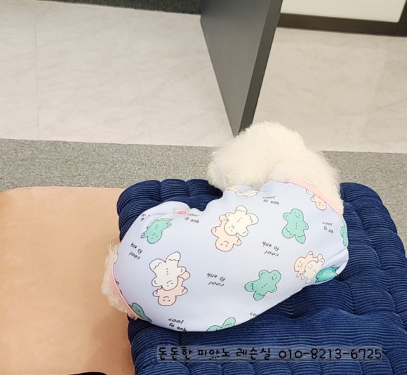 오라돈돈 이미지