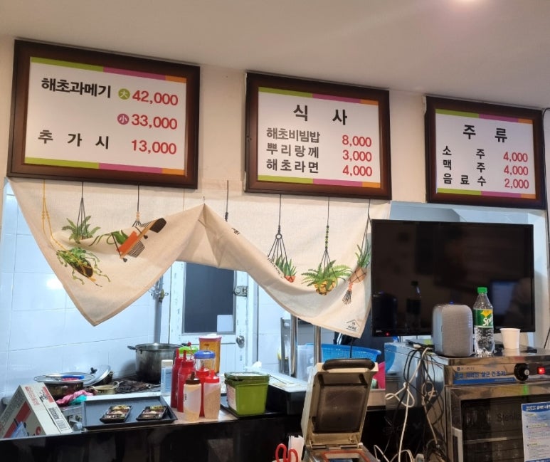 해초과메기 사진 3