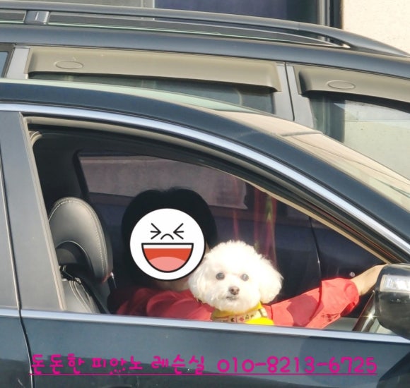 돈돈한피아노 이미지