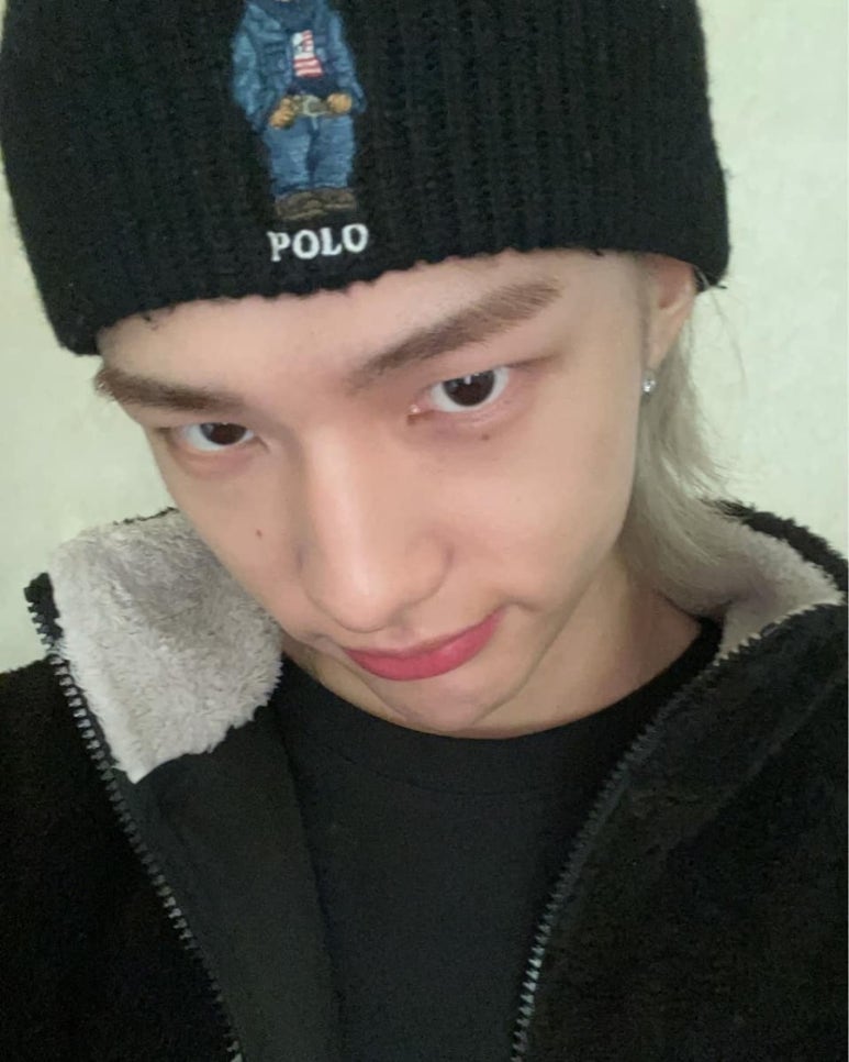 하울 이미지