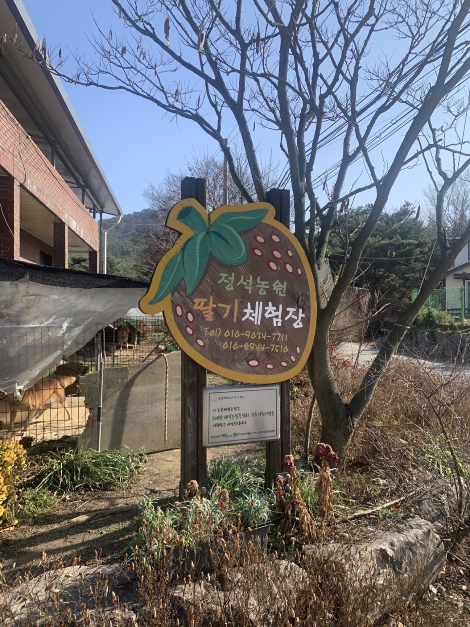 정석농원 이미지