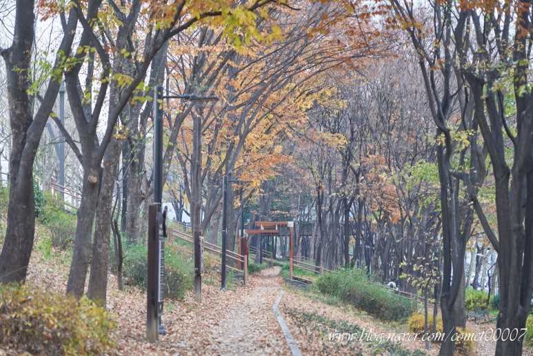 송정나무병원 이미지