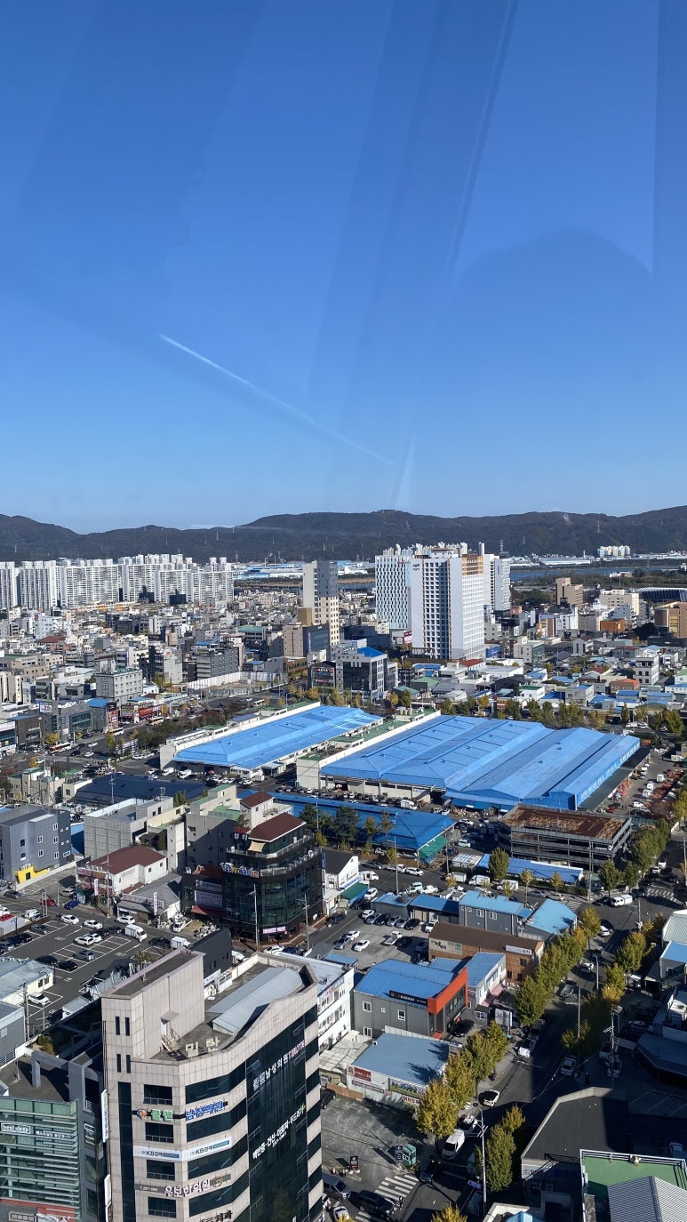 휠고고 이미지