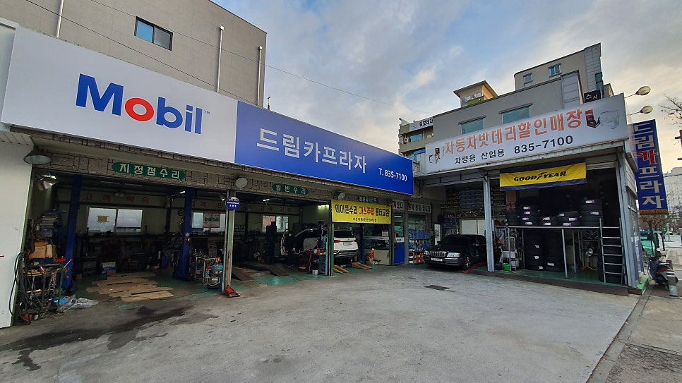 드림카프라자 이미지