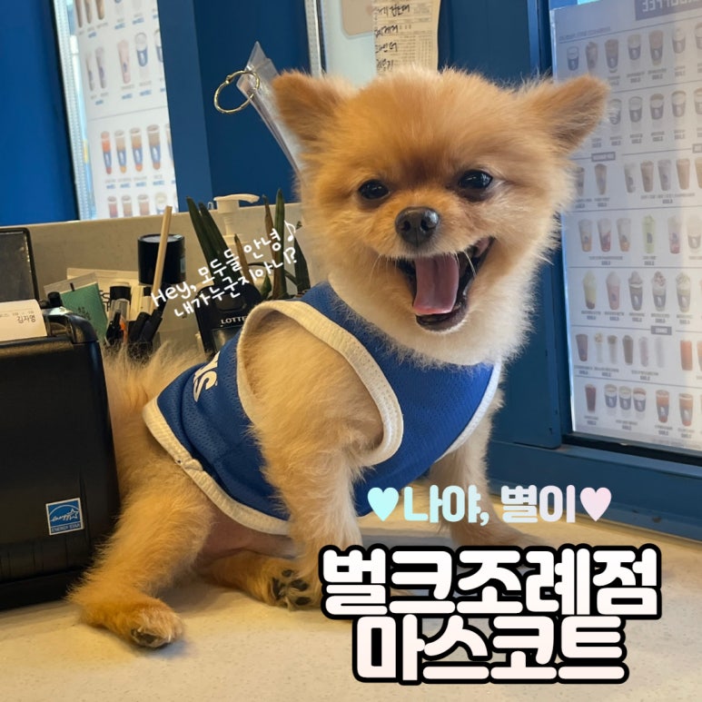벌크커피순천조례점 이미지